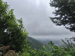 -杭州半山国家森林公园