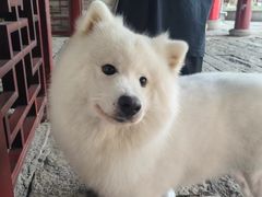 -书亦烧仙草(汇智中心概念店)