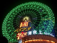 -星城之眼摩天轮