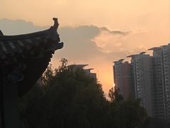 -莲花池公园
