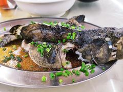 -红月湾海鲜饭店•沙滩海景(双月湾店)