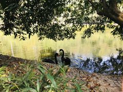 -水濂山森林公园