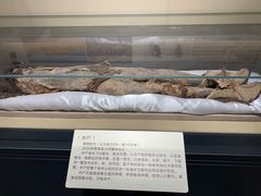 -巴音郭楞蒙古自治州博物馆