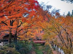 -三千院