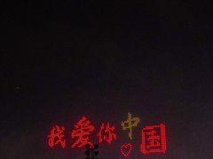 -荷兰花海
