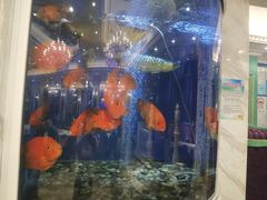 -齐家花园大酒店(宝山店)