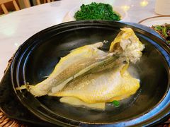 泉水黄花鱼-锦園(伊势丹美食城店)