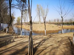 -东郊湿地公园