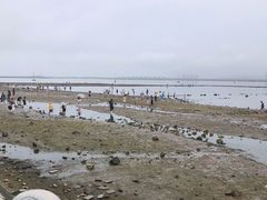 -养马岛旅游度假区