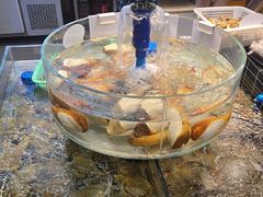 -健跳小海鲜(人民路店)