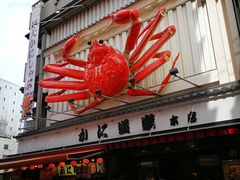 -蟹道乐(道顿堀本店)