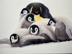 -罗红摄影艺术馆