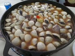-顺德哥卜卜贝(旗舰店)