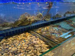 -冀粤香海鲜自助餐厅(西美五洲店)