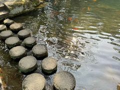 -千岛湖东南湖区