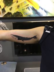 -木子·纹身店TATTOO穿孔·洗纹身