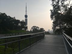 -广州雕塑公园