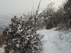 -北京西山国家森林公园