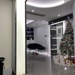 -处女座·MISS VIRGO·半永久纹眉野生眉