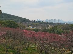 -无锡梅园公园