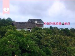 -呀诺达热带雨林