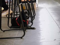 -欧邑咖啡小站 HLab Coffee