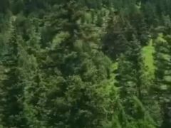 -空中草原