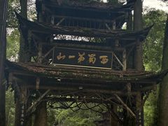 -青城甲(青城山店)