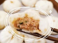 鲜肉小笼包-桐香园小笼包(百井坊巷店)