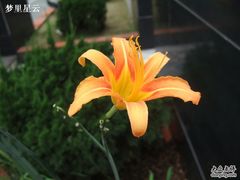 -广州神农草堂中医药博物馆