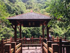 -广州白江湖森林公园