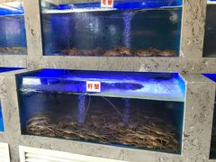 -一号码头蒸汽海鲜自助