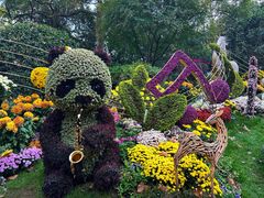 -杭州植物园