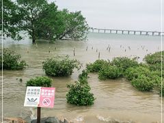 -宝安西湾红树林湿地公园