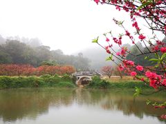 -南国桃园旅游度假区