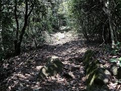 -云栖竹径