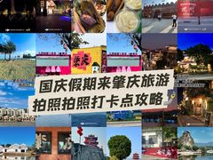 -鼎香皇高佬苏裹蒸粽