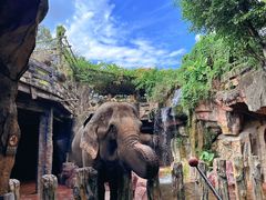 -长鹿旅游休博园