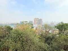 -佛山华盖山公园