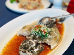 笋壳鱼-馋遇江南·精致湖景雅宴(东方之门店)