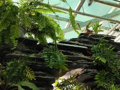 -国家植物园南园