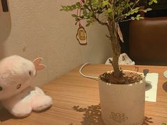 -CURRY YA 熟成咖哩專門店(深圳湾万象城店)