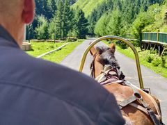 -苏木山森林公园