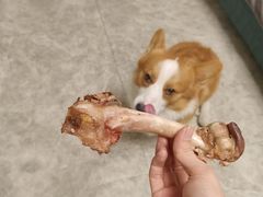 -土灶台东北大块肉烧烤(风景城邦店)