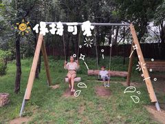 -安德鲁户外烧烤帐篷营地(马泉营店)