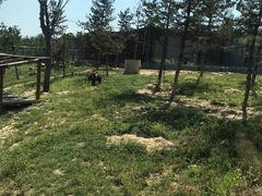 -太原动物园