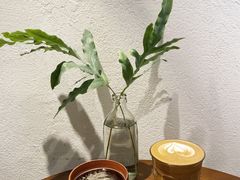 -Seeking Coffee咖啡(新竹路店)
