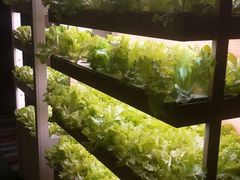 -满堂欢豆捞坊(美丽华大酒店店)