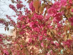 -元大都城垣遗址公园