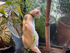 -自由生长植物工作室(深港花卉中心店)